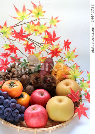 Autumn food 24443788