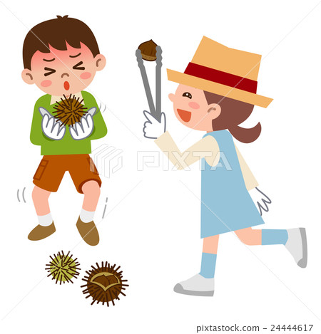 Children picking chestnuts Children picking chestnuts 24444617