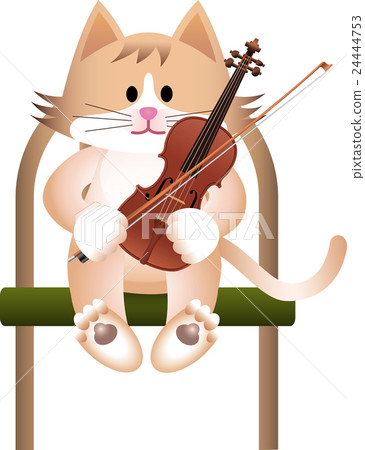 Violin and chair and cat _b 01 24444753