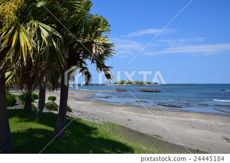 青島海灘（宮崎縣宮崎市） 24445184