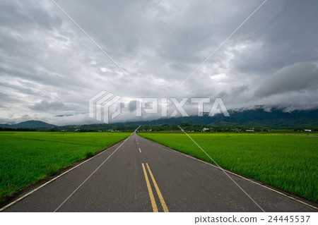 Brunswick Avenue Brunswick Avenue 24445537