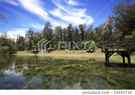 Taitung Forest Park 24445730
