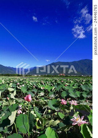 slope pool slope pool 24446765