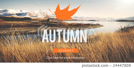 Autumn Fall Foliage Fresh Nature Season Vibrant Concept Autumn Fall Foliage Fresh Nature Season Vibrant Concept 24447809