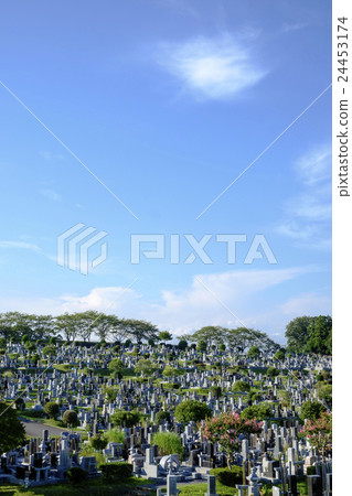 墓地墓地 24453174
