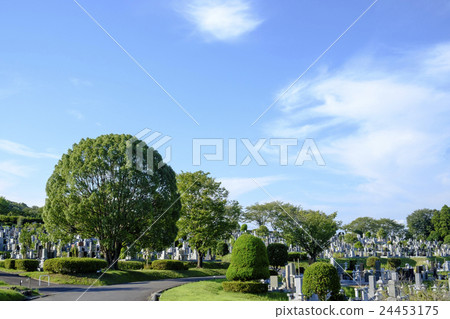 墓地墓地 墓地墓地 24453175
