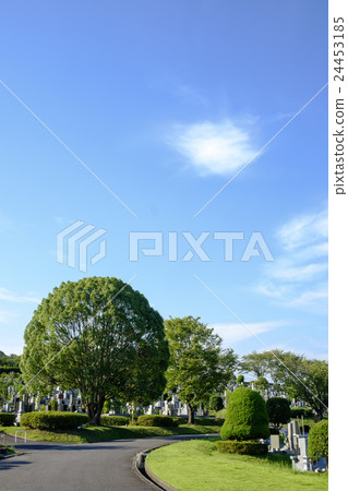 墓地墓地 24453185