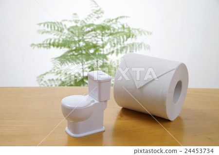 Toilet model and toilet paper 24453734