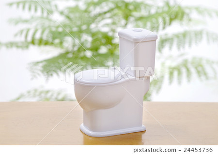 A model of a toilet 24453736