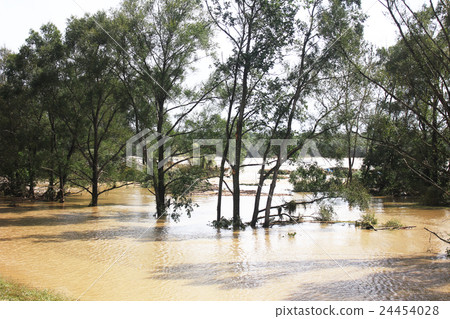 flood flood 24454028