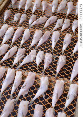 乾河豚 乾河豚 24454575