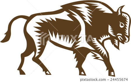 American Bison Woodcut American Bison Woodcut 24455674