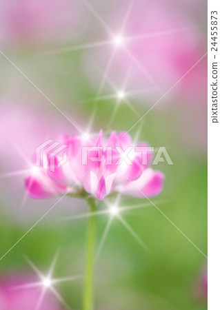 Astragalus and glow Astragalus and glow 24455873