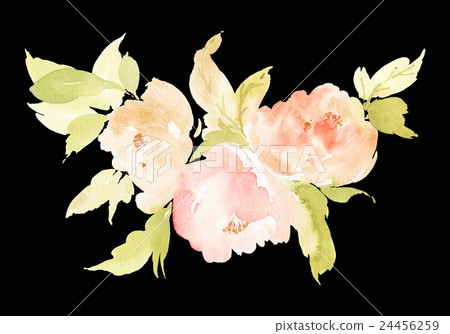 Flowers watercolor illustration Flowers watercolor illustration 24456259