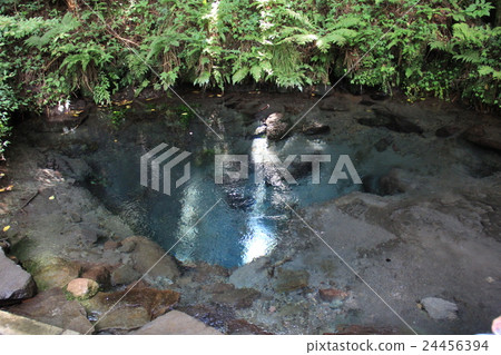 Menkei spring water group Menkei spring water group 24456394