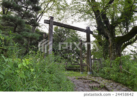 Shimajo Honmaru模擬了開普敦種植園 24458642
