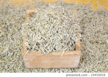 Chirimen Jaco 24458916