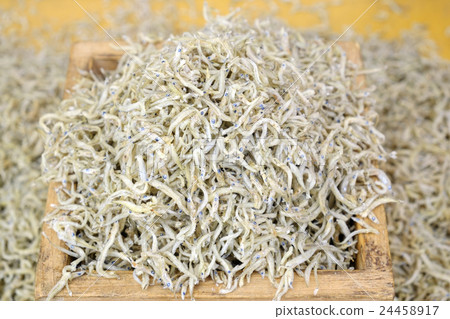 Chirimen Jaco 24458917