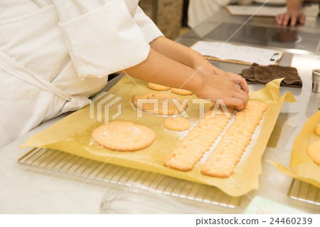 Charlotte making Charlotte fabric 24460239