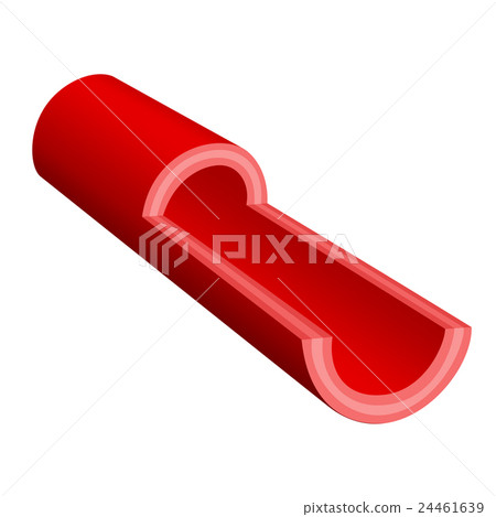 血管剖面圖 血管剖面圖 24461639