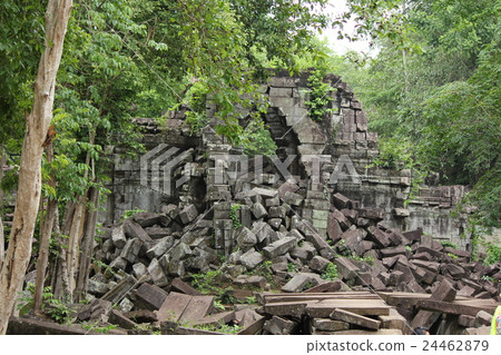 本梅利亞 本梅利亞 24462879