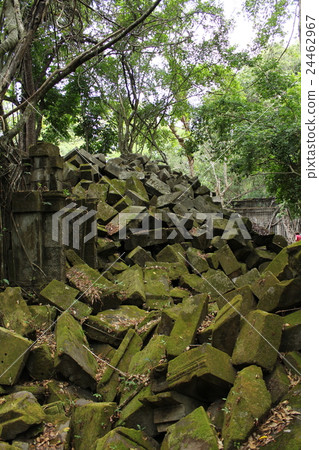 本梅利亞 24462967