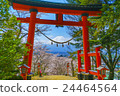 Mount Fuji and Torii 24464564