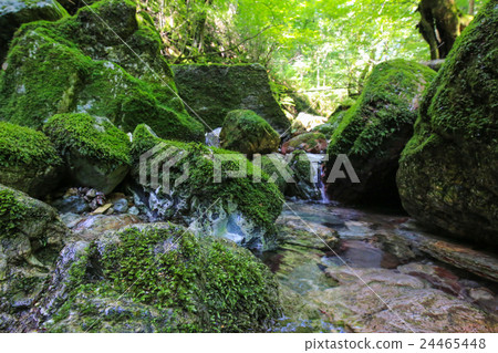Ehime Prefecture Uchikocho Oda Okuyama Valley Late Nojikawa Upstream scenery Ehime Prefecture Uchikocho Oda Okuyama Valley Late Nojikawa Upstream scenery 24465448