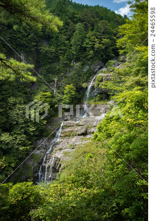 Hidano Falls瀑布（高知縣Inoi Town） 24465598