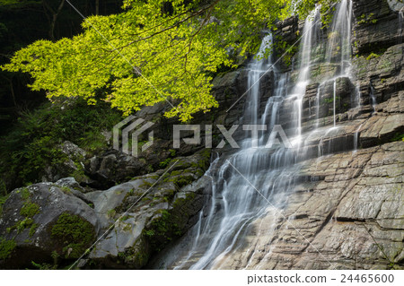 Hidano Falls瀑布(高知縣Inoi Town) Hidano Falls瀑布(高知縣Inoi Town) 24465600