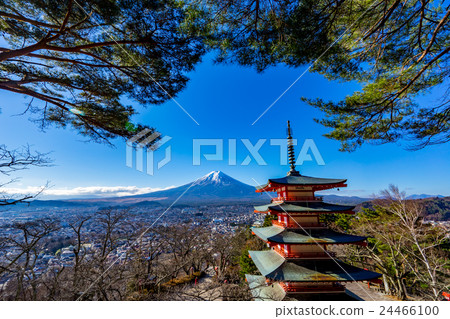 [山梨縣]新村山仙根公園 24466100