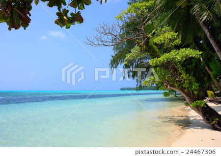 The sea of Palau The sea of Palau 24467306