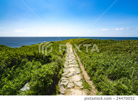 Makizaki風格公園Makushima 24470052