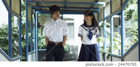 Junior high school student youth Junior high school student youth 24470795