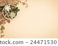 Succulent plants in a can setting on cardboard wit 24471530