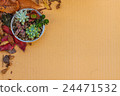 Succulent plants in a can setting on cardboard wit 24471532