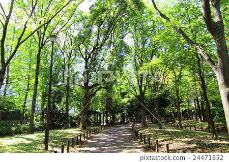 富山公園 富山公園 24471852