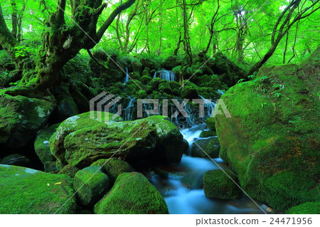 Summer former waterfall underwater water Summer former waterfall underwater water 24471956