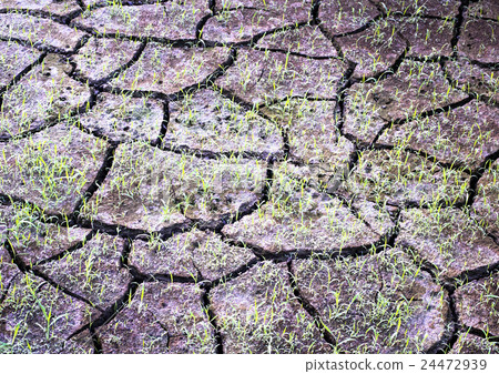Drought Drought 24472939