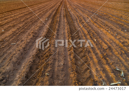 Traces wheel tractors Traces wheel tractors 24473017