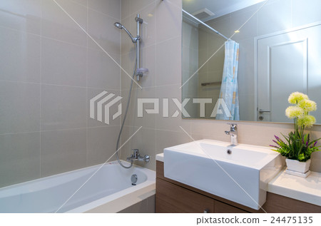 Luxury Interior bathroom 24475135