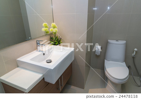 Luxury Interior bathroom Luxury Interior bathroom 24478118