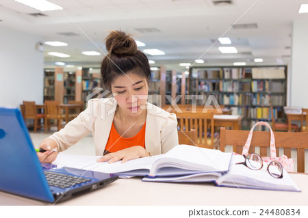 study education, woman worked in the library 24480834