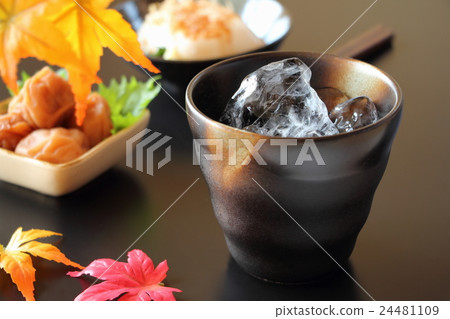 Shochu 24481109
