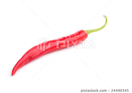 Fresh Thai chili isolated on white background Fresh Thai chili isolated on white background 24490345