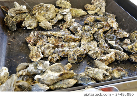 Oyster hut 24493090