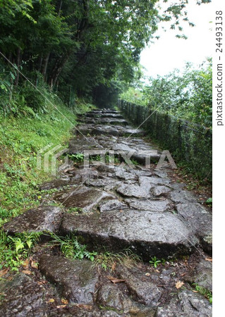 Kumano Kaido _ rain 24493138