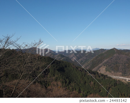 Forest visible from Takao mountain in Hachioji city, Tokyo 24493142