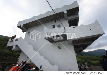 frog feathers house 24493576