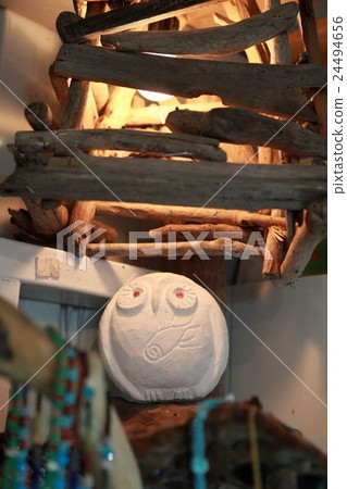 forest shop 24494656